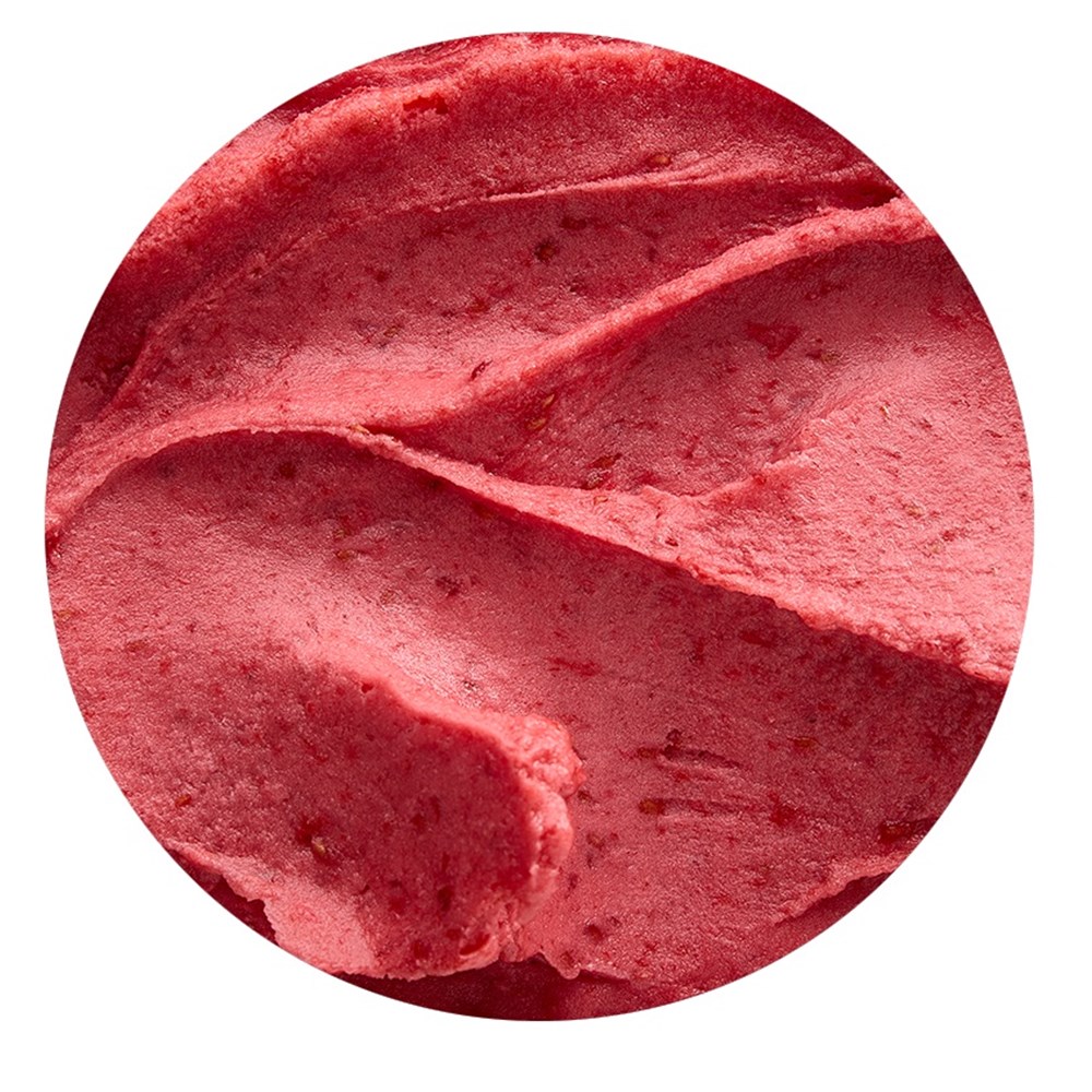 Raspberry Sorbet 5ltr