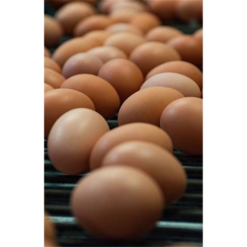 600g Eggs Loose