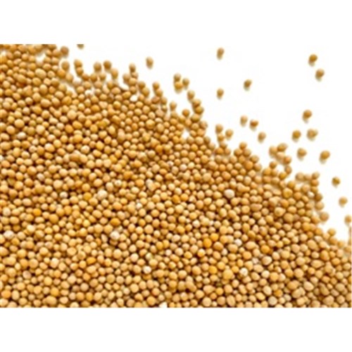 Yellow Mustard Seeds 1kg