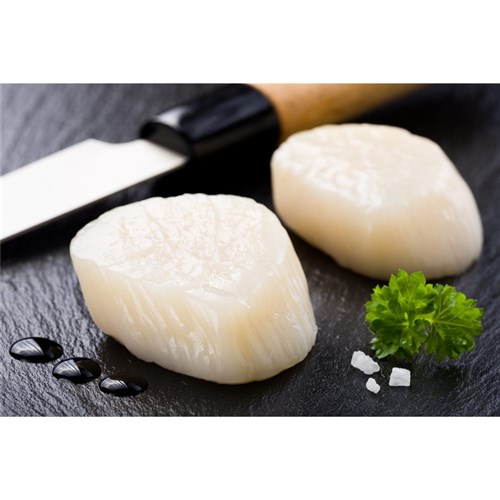 Scallop Roe Off 10/20