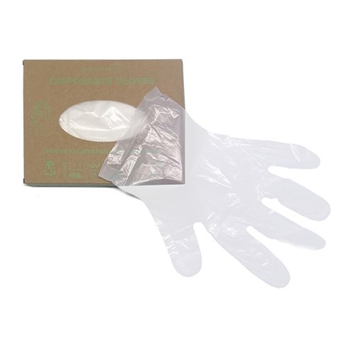 Disposable Glove Medium (100)