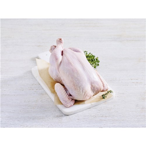 #21 Bulk Whole Birds (7)