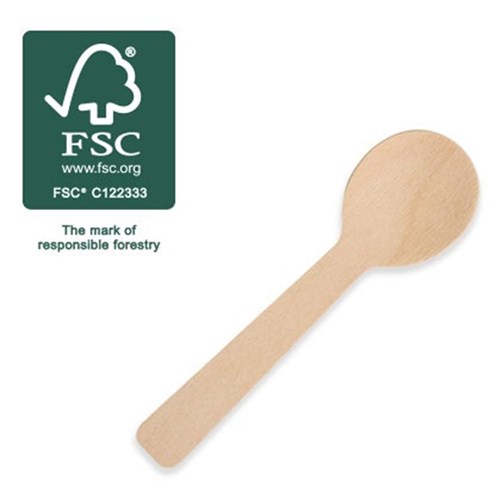 Wooden Teaspoon (100)