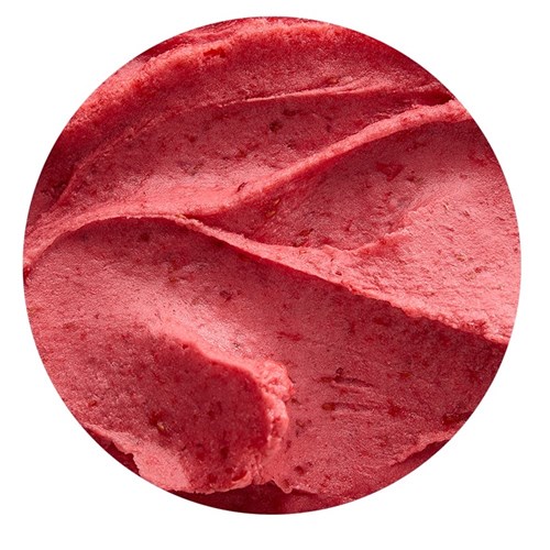 Raspberry Sorbet 5ltr